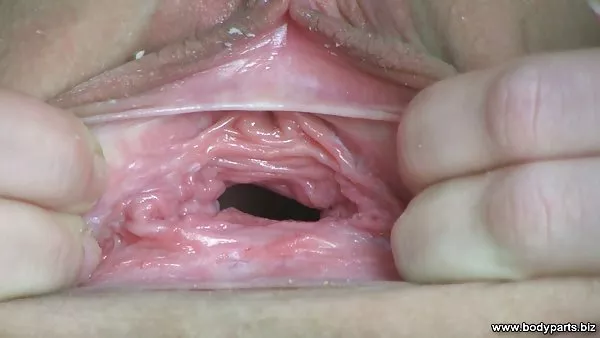 巨大的自然胸的胸罩了阴部的卡普里岛安德森的裸体照片
